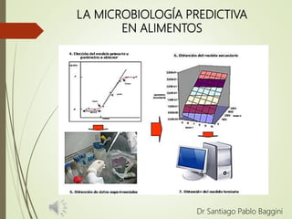 LA MICROBIOLOGÍA PREDICTIVA
EN ALIMENTOS
Dr Santiago Pablo Baggini
 