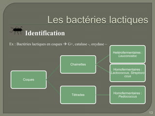 Identification
Ex : Bactéries lactiques en coques  G+, catalase -, oxydase –

                                                                  Hetérofermentaires :
                                                                     Leuconostoc

                                      Chainettes
                                                                  Homofermentaires :
                                                                 Lactococcus, Streptoco
                                                                         ccus
        Coques



                                                                  Homofermentaires :
                                       Tétrades
                                                                    Pediococcus




                                                                                          13
 