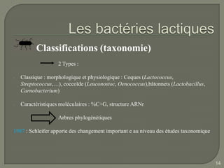 Classifications (taxonomie)
                   2 Types :

-   Classique : morphologique et physiologique : Coques (Lactococcus,
    Streptococcus,…), coccoïde (Leuconostoc, Oenococcus),bâtonnets (Lactobacillus,
    Carnobacterium)

-   Caractèristiques moléculaires : %C+G, structure ARNr

                   Arbres phylogénétiques

1987 : Schleifer apporte des changement important e au niveau des études taxonomique




                                                                                       14
 