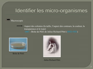 Macroscopie

                  Aspect des colonies (la taille, l’aspect des contours, la couleur, la
                  transparence et le type)
                   1887 : Boite de Pétri de Julius Richard Pétri (1852-1921)




 Boite de Petri


                                        Julius Richard Pétri


                                                                                          7
 