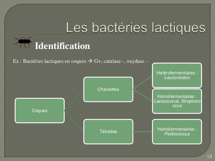 Microbiologie de lait - Comptes Rendus - Mots