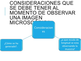 CONSIDERACIONES QUE
SE DEBE TENER AL
MOMENTO DE OBSERVAR
UNA IMAGEN
MICROSCÓPICA
Consideracion
es
¿a que escala de
longitud se esta
observando la
muestra?
¿Cómo se ha
generado?.
 