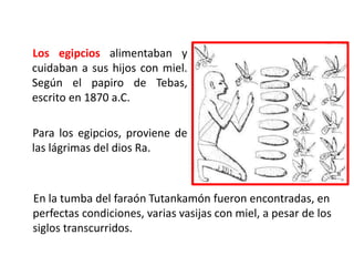 Los egipcios alimentaban y 
cuidaban a sus hijos con miel. 
Según el papiro de Tebas, 
escrito en 1870 a.C. 
Para los egipcios, proviene de 
las lágrimas del dios Ra. 
En la tumba del faraón Tutankamón fueron encontradas, en 
perfectas condiciones, varias vasijas con miel, a pesar de los 
siglos transcurridos. 
 