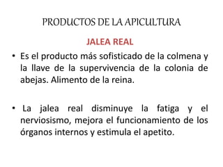 PRODUCTOS DE LA APICULTURA 
JALEA REAL 
• Es el producto más sofisticado de la colmena y 
la llave de la supervivencia de la colonia de 
abejas. Alimento de la reina. 
• La jalea real disminuye la fatiga y el 
nerviosismo, mejora el funcionamiento de los 
órganos internos y estimula el apetito. 
 