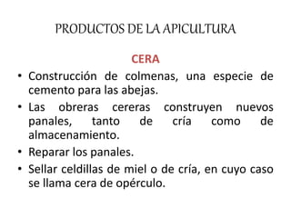 PRODUCTOS DE LA APICULTURA 
CERA 
• Construcción de colmenas, una especie de 
cemento para las abejas. 
• Las obreras cereras construyen nuevos 
panales, tanto de cría como de 
almacenamiento. 
• Reparar los panales. 
• Sellar celdillas de miel o de cría, en cuyo caso 
se llama cera de opérculo. 
 
