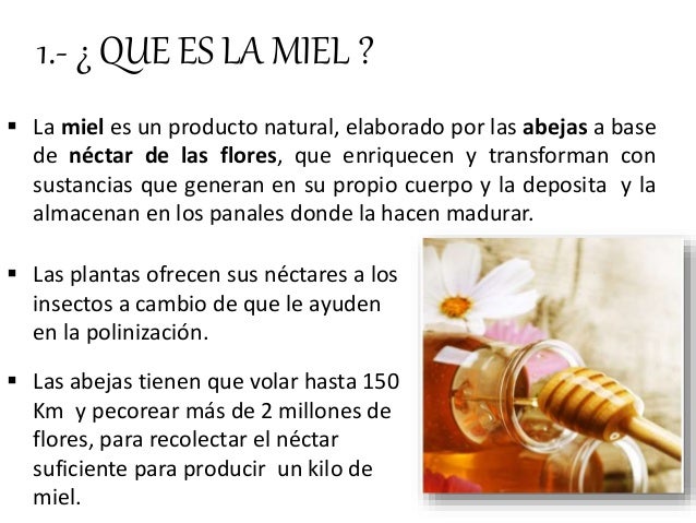 La miel 25 sep La miel 25 sep