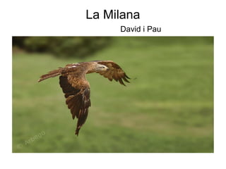 La Milana   David i Pau 