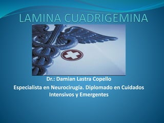 Dr.: Damian Lastra Copello
Especialista en Neurocirugía. Diplomado en Cuidados
Intensivos y Emergentes
 