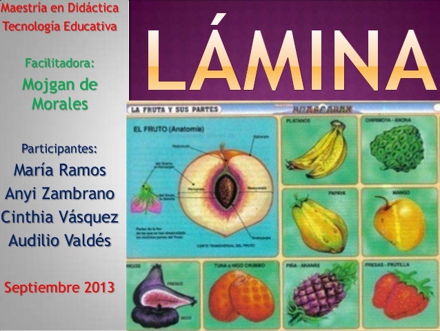 Lamina educativa