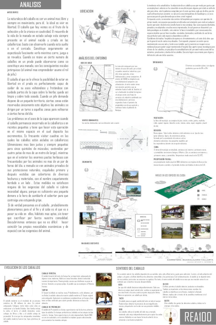 Lamina Analisis y Concepto Lamina Analisis y Concepto