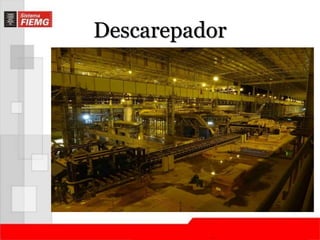 Descarepador 
 