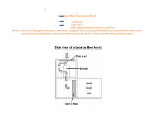 •
I
A laminar flow hood consists of
a filter pad,
a fan and a
HEPA (High Efficiency Particulates Air) filter.
The fan sucks the air through the filter pad where dust is trapped. After that the prefiltered air has to pass the HEPA filter where
contaminating fungi, bacteria, dust etc are removed. Now the sterile air flows into the working (flasking) area
 