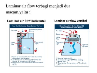 Laminar air flow terbagi menjadi dua
macam,yaitu :
Laminar air flow horizontal Laminar air flow vertikal
 