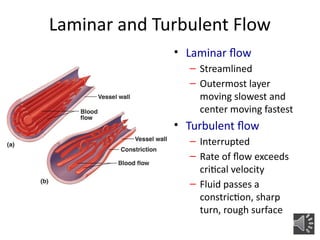 Laminar and Turbulent Flow
• Laminar flow
– Streamlined
– Outermost layer
moving slowest and
center moving fastest
• Turbulent flow
– Interrupted
– Rate of flow exceeds
critical velocity
– Fluid passes a
constriction, sharp
turn, rough surface
 