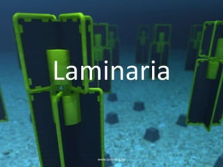 Laminaria
www.laminaria.be 1
 