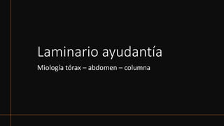 Laminario ayudantía
Miología tórax – abdomen – columna
 