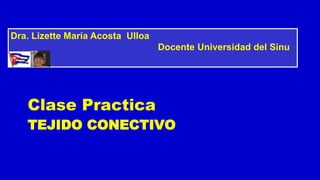 TEJIDO CONECTIVO
Clase Practica
Dra. Lizette María Acosta Ulloa
Docente Universidad del Sinu
 