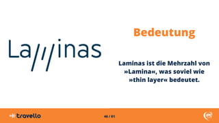 46 / 81
Bedeutung
Laminas ist die Mehrzahl von
»Lamina«, was soviel wie
»thin layer« bedeutet.
 
