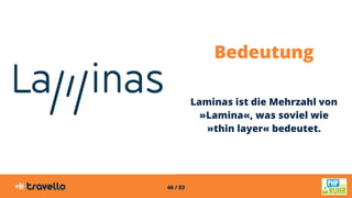 46 / 83
Bedeutung
Laminas ist die Mehrzahl von
»Lamina«, was soviel wie
»thin layer« bedeutet.
 