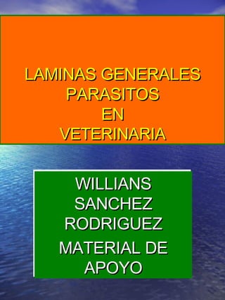 LAMINAS GENERALES PARASITOS EN VETERINARIA WILLIANS SANCHEZ RODRIGUEZ MATERIAL DE APOYO 