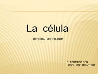 La célula
CATEDRA: MORFOLOGIA
ELABORADO POR:
LCDO. JOSE QUINTERO
 