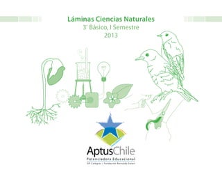 Láminas Ciencias Naturales
3º
Básico, I Semestre
2013
 
