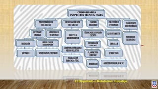 El Etiquetado o Rotulación. Embalaje.
 