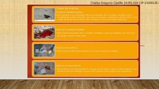 Charlys Gregorio Castillo 14.091.614 CJP-13300126-P
 