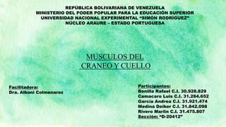 REPÚBLICA BOLIVARIANA DE VENEZUELA
MINISTERIO DEL PODER POPULAR PARA LA EDUCACIÓN SUPERIOR
UNIVERSIDAD NACIONAL EXPERIMENTAL “SIMÓN RODRÍGUEZ”
NÚCLEO ARAURE – ESTADO PORTUGUESA
MUSCULOS DEL
CRANEO Y CUELLO
Facilitadora:
Dra. Albani Colmenarez
Participantes:
Bonilla Rafael C.I. 30.928.829
Camacaro Luis C.I. 31.284.652
García Andrea C.I. 31.921.474
Medina Deiker C.I. 31.842.098
Rivero Marlin C.I. 31.475.807
Sección: “D-20412”
 