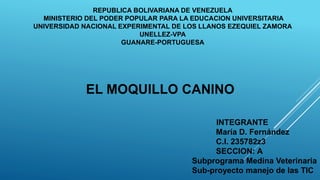 REPUBLICA BOLIVARIANA DE VENEZUELA
MINISTERIO DEL PODER POPULAR PARA LA EDUCACION UNIVERSITARIA
UNIVERSIDAD NACIONAL EXPERIMENTAL DE LOS LLANOS EZEQUIEL ZAMORA
UNELLEZ-VPA
GUANARE-PORTUGUESA
EL MOQUILLO CANINO
INTEGRANTE
María D. Fernández
C.I. 235782z3
SECCION: A
Subprograma Medina Veterinaria
Sub-proyecto manejo de las TIC
 