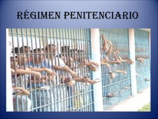 Régimen penitenciaRio
 