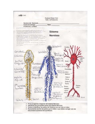 Laminas escaneadas (2)
