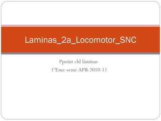 Ppoint chl láminas
1ºEme-semi-APB-2010-11
Laminas_2a_Locomotor_SNC
 