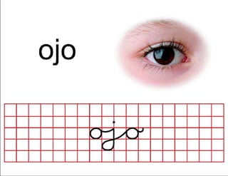 Laminas metodo matte