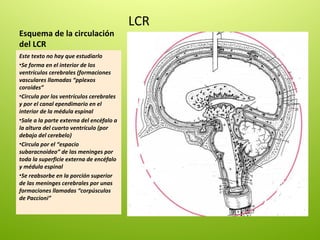 Laminas organos sentidos | PPT