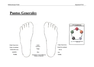 Reflexoterapia Podal Separata Nº 02
 
