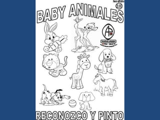 LÁMINAS PARA PINTAR