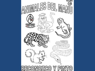 LÁMINAS PARA PINTAR