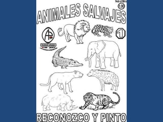 LÁMINAS PARA PINTAR