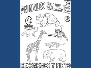 LÁMINAS PARA PINTAR