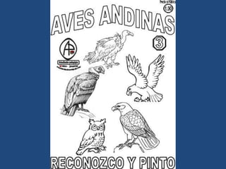 LÁMINAS PARA PINTAR