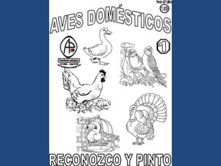 LÁMINAS PARA PINTAR