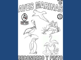 LÁMINAS PARA PINTAR