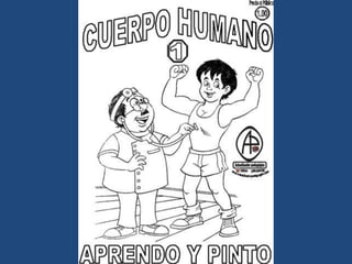 LÁMINAS PARA PINTAR