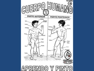 LÁMINAS PARA PINTAR