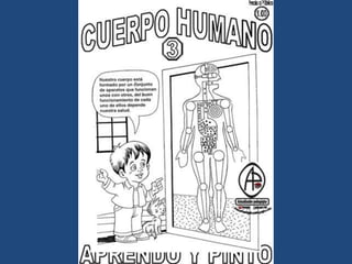 LÁMINAS PARA PINTAR