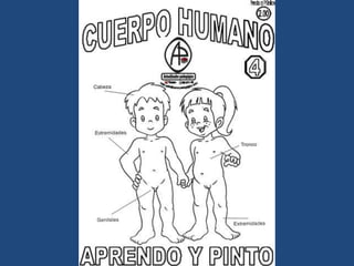 LÁMINAS PARA PINTAR