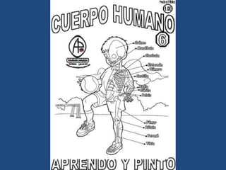 LÁMINAS PARA PINTAR