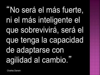 creatividad aplicada en Internet 