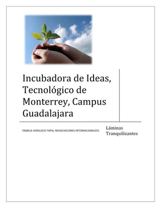  




Incubadora de Ideas, 
Tecnológico de 
Monterrey, Campus 
Guadalajara 
PAMELA VERDUZCO TAPIA, NEGOCIACIONES INTERNACIONALEES 
                                                         Láminas 
                                                         Tranquilizantes 
 
